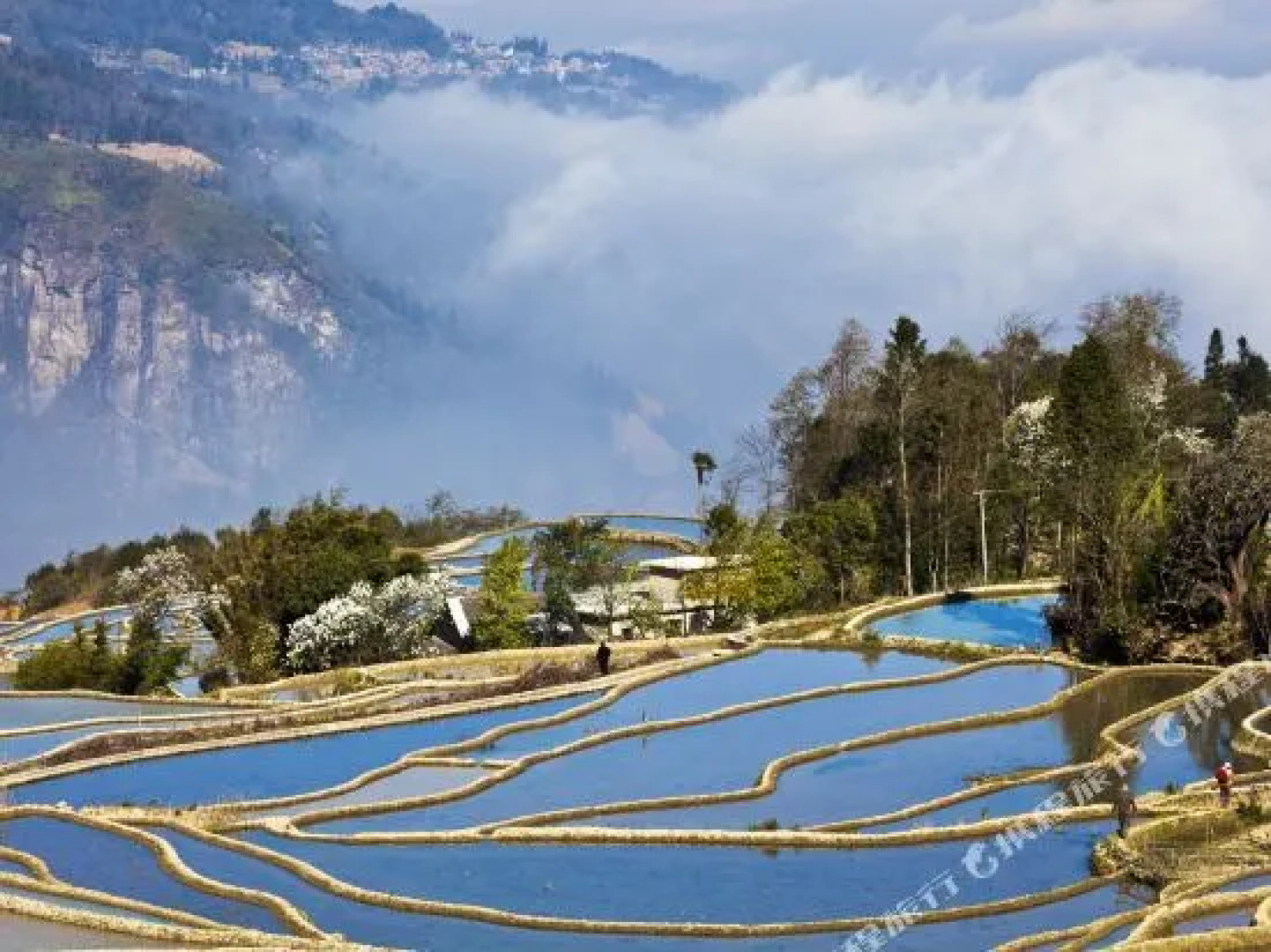 Honghe Yuanyang Duoyishu Yajieju Hostel
