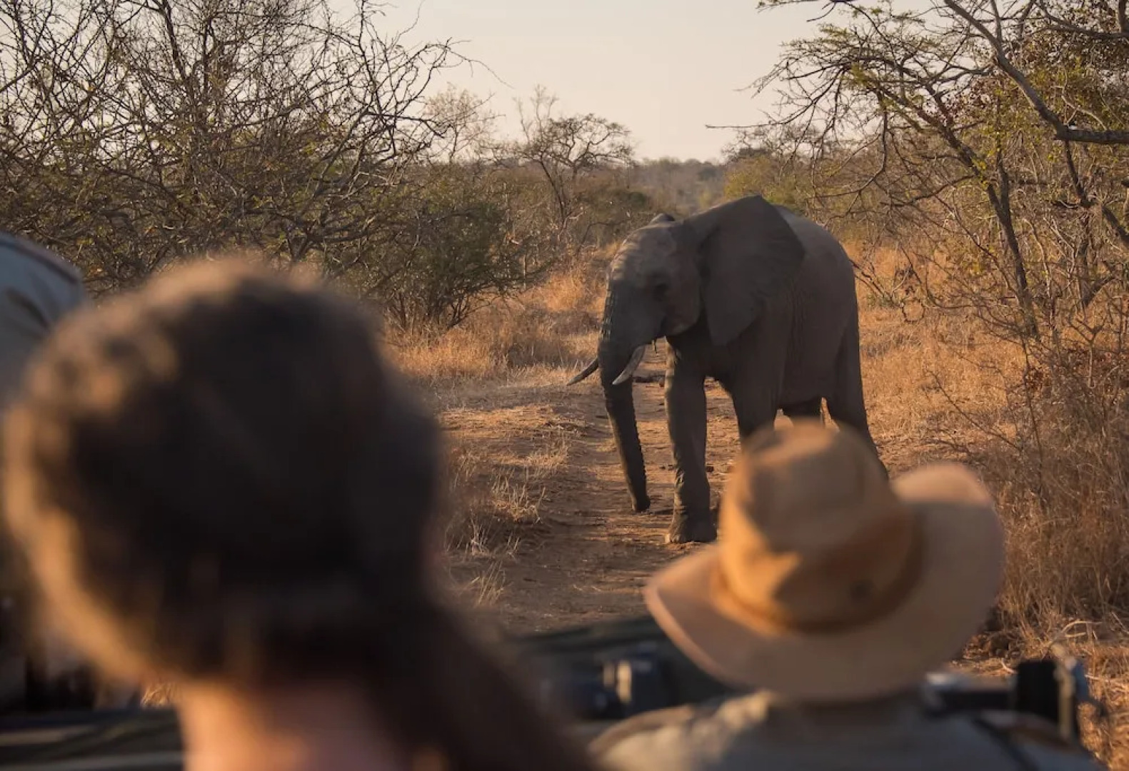 Waterbuck Game Lodge