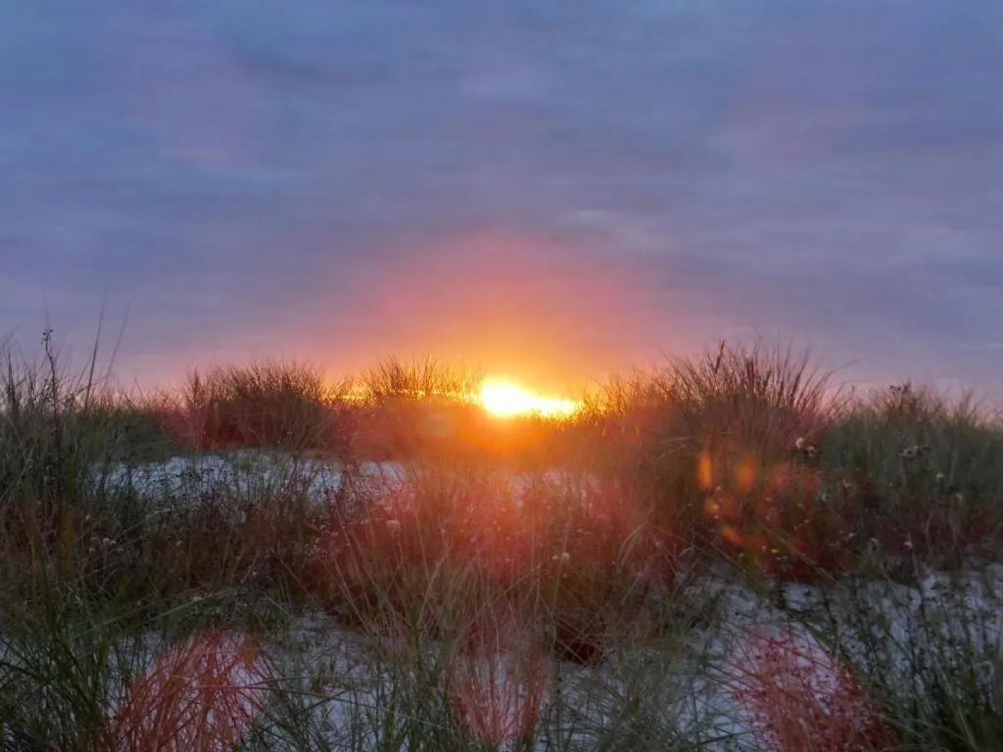 Ostseetraum Graal-Müritz