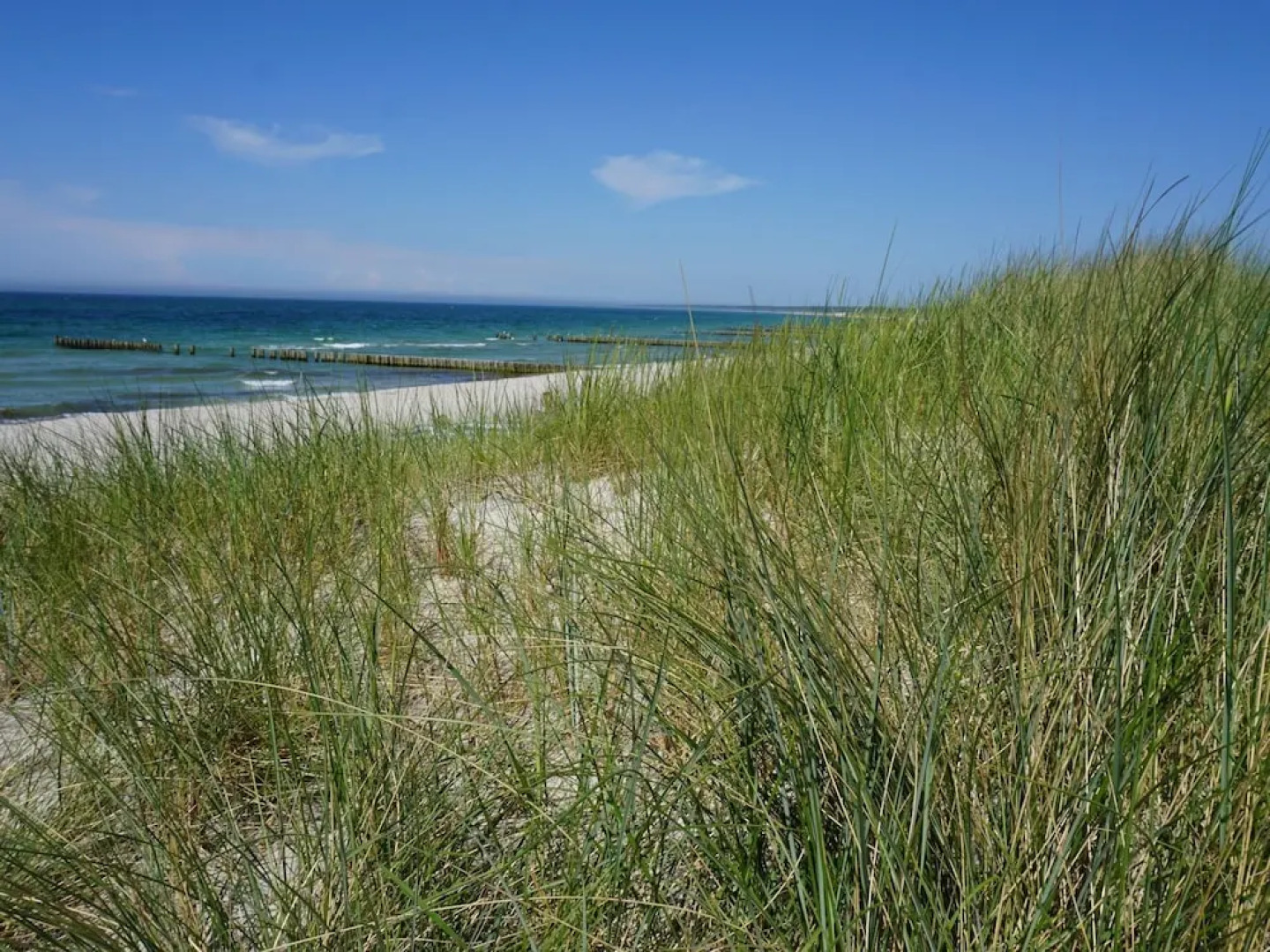 Wohnung mit Garten in Wieck a. Darss