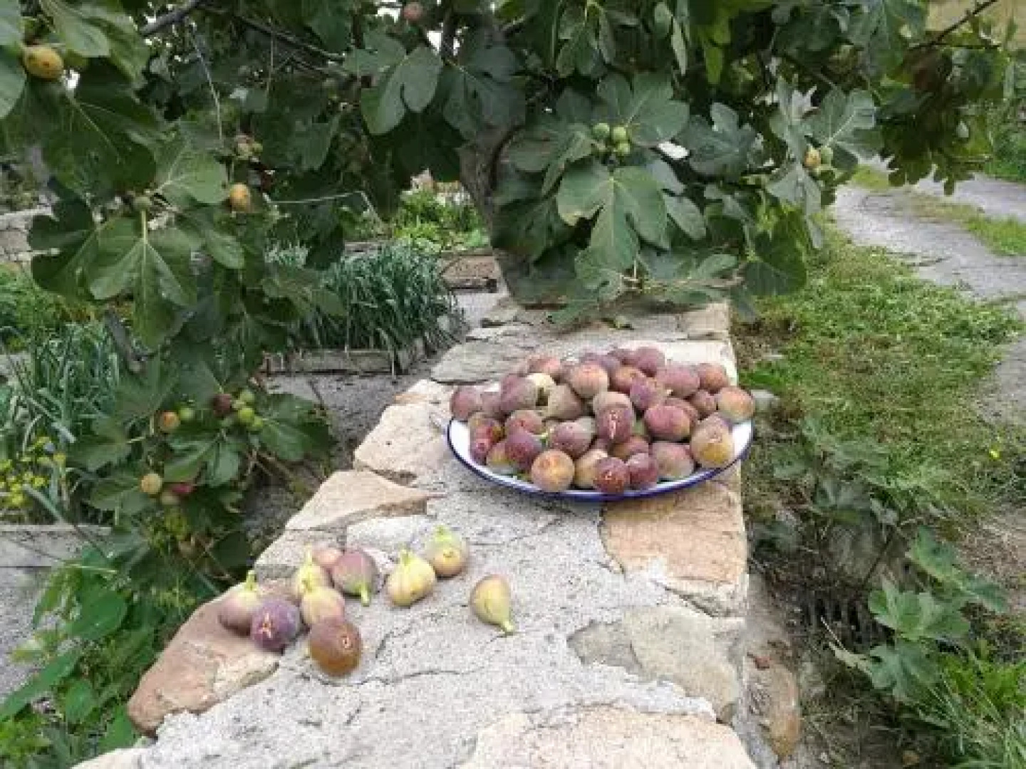 Las Azadas Alojamiento Rural