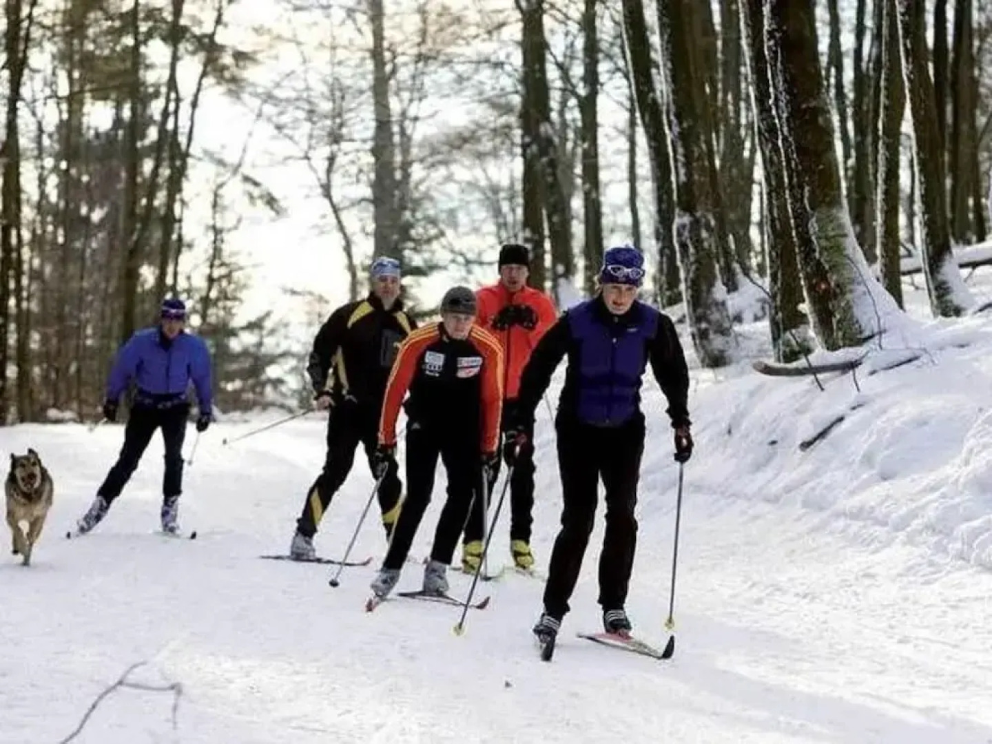 Spacious Home, Sauerland