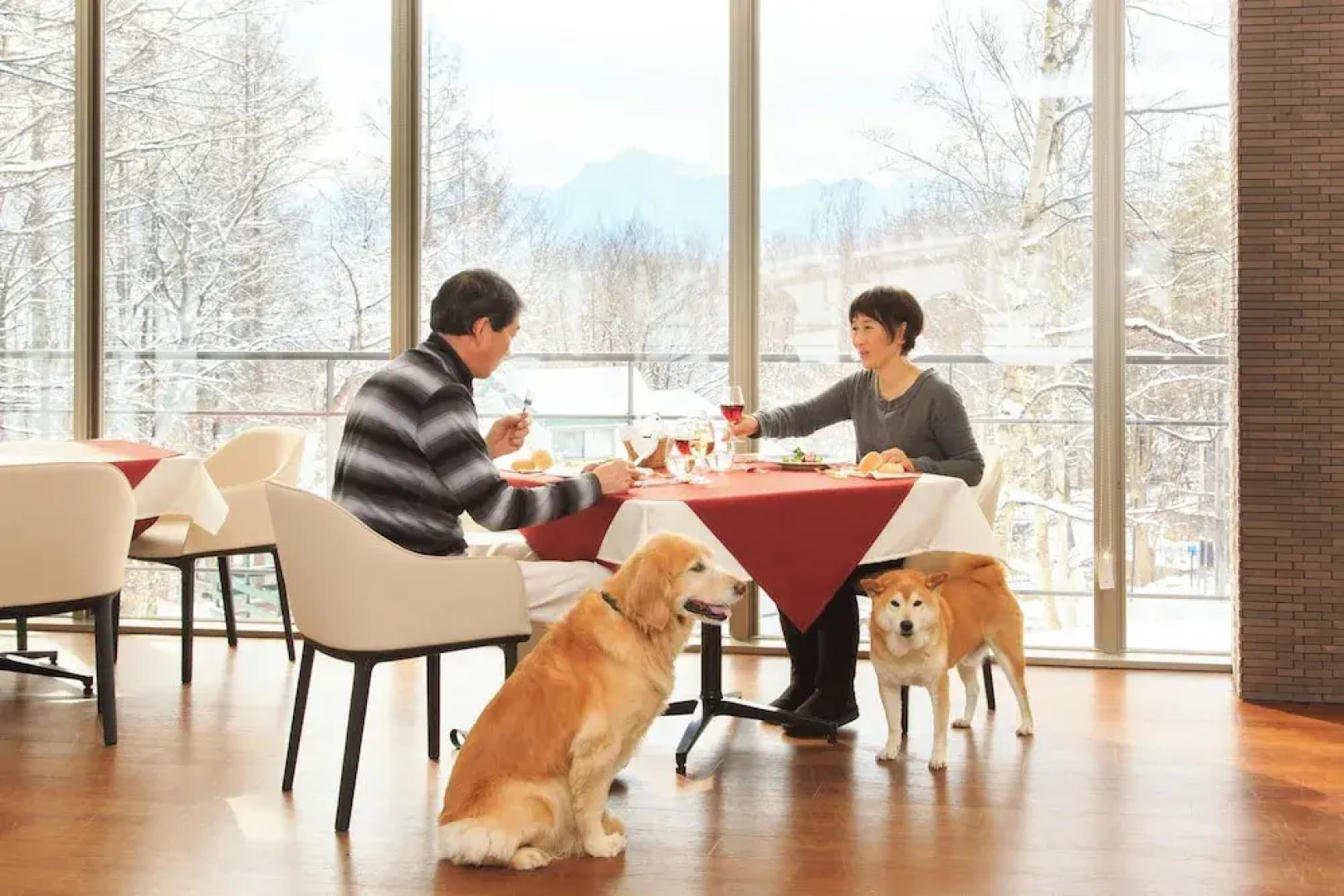 Izumigo Yatsugatake Dog Paradise Cottage