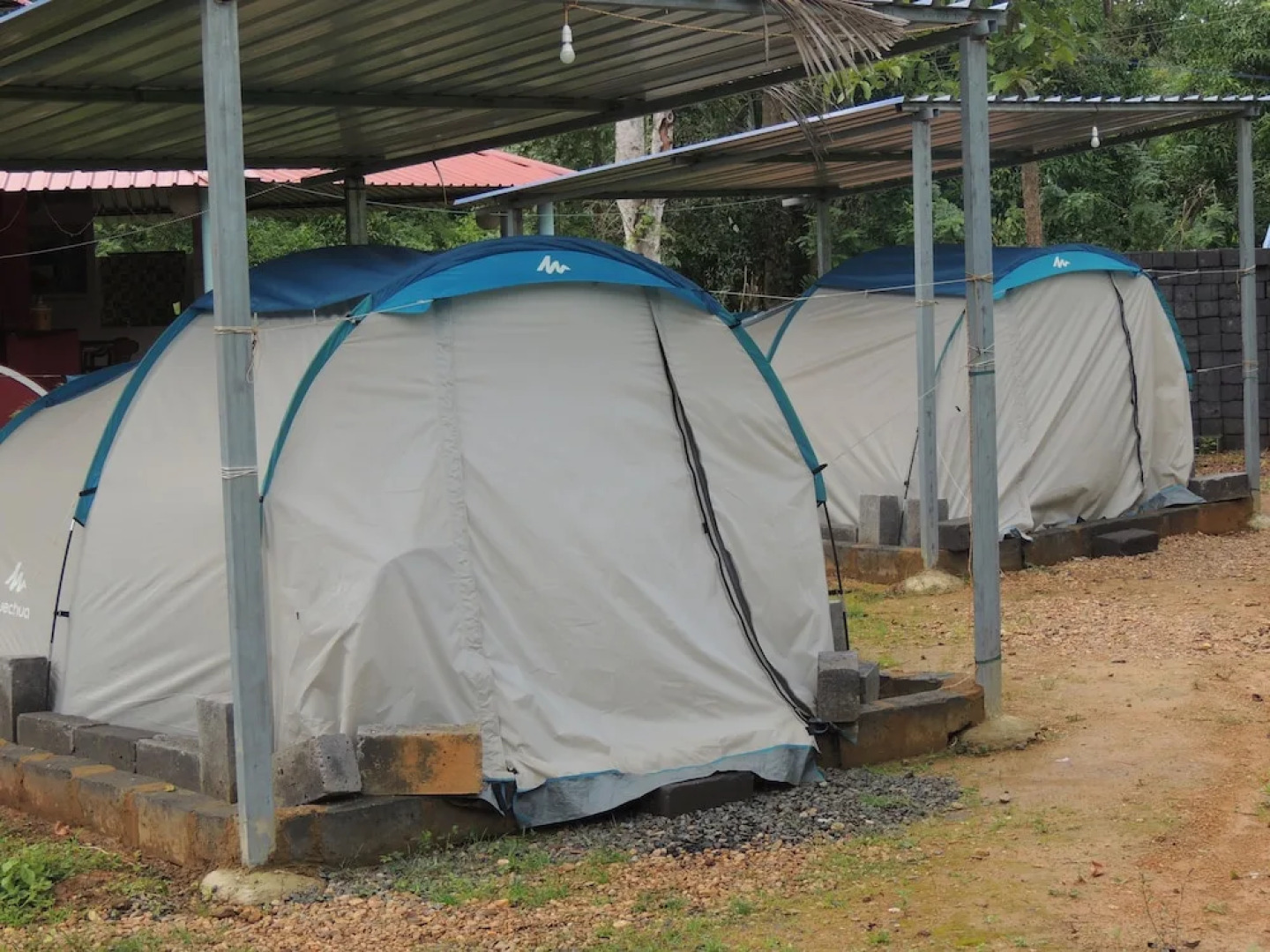 Jungle Nest Homestay