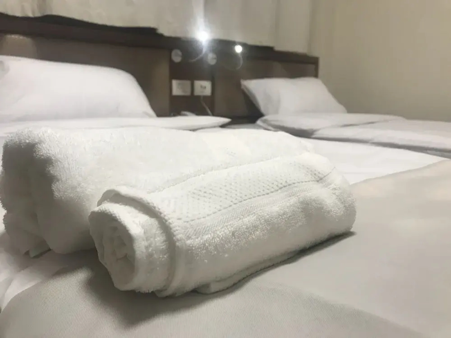Eli Guest House