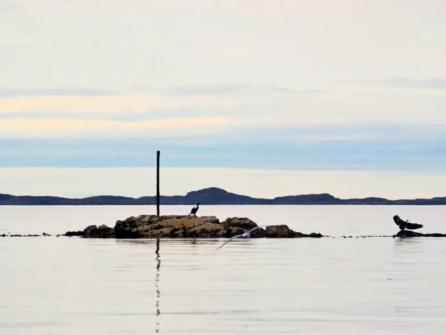 10 Person Holiday Home in Fjørtoft