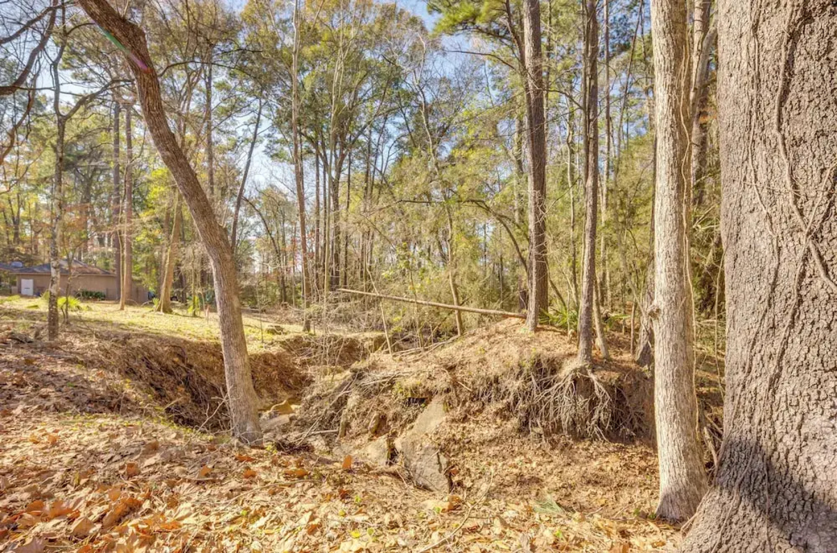 Quiet Texas Vacation Rental ~ 5 Mi to Lake Conroe!