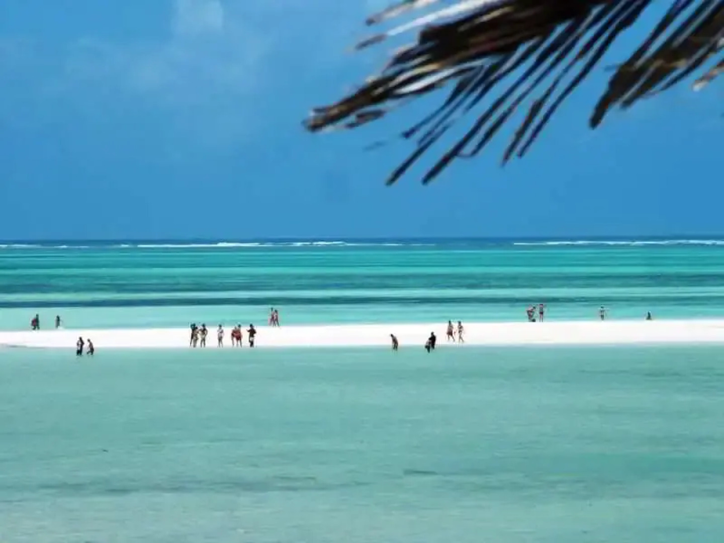 Jacaranda Villas Club