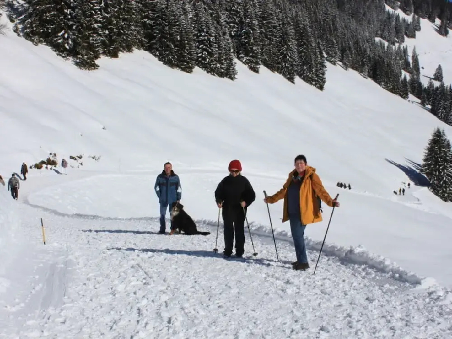 Kreuzwiesen Comfortable Holiday Residence