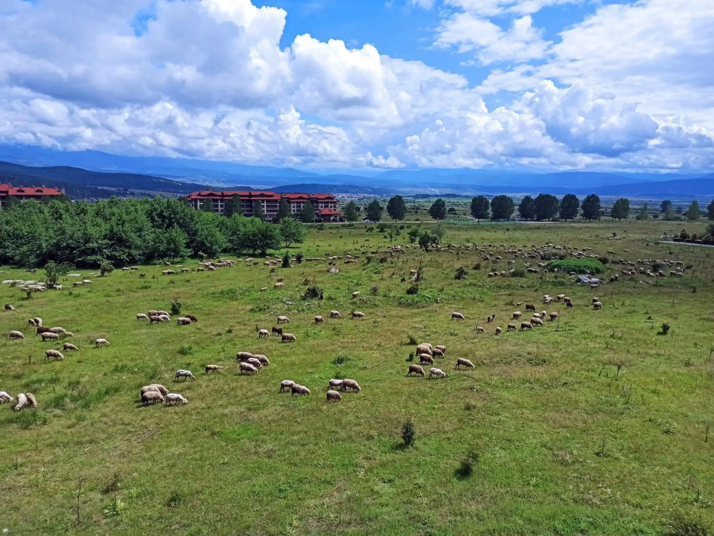 F307 Studio Aspen Golf Resort Bansko