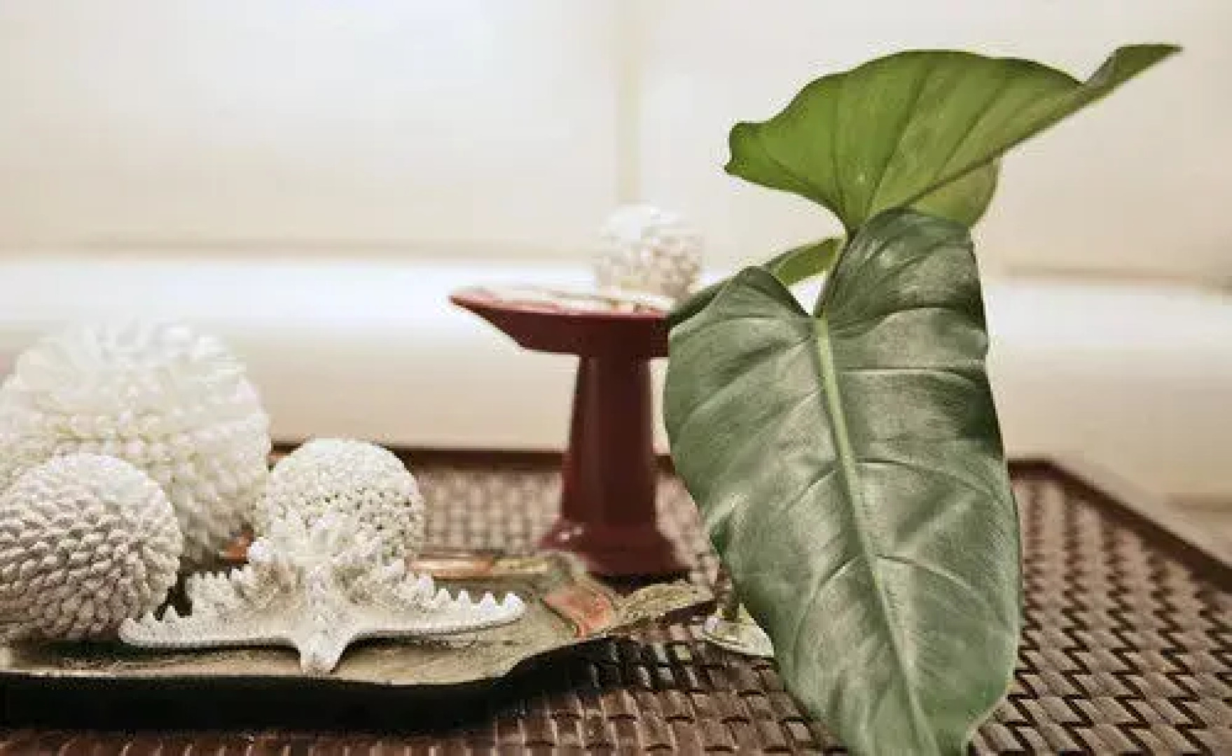 Watermark at Wategos