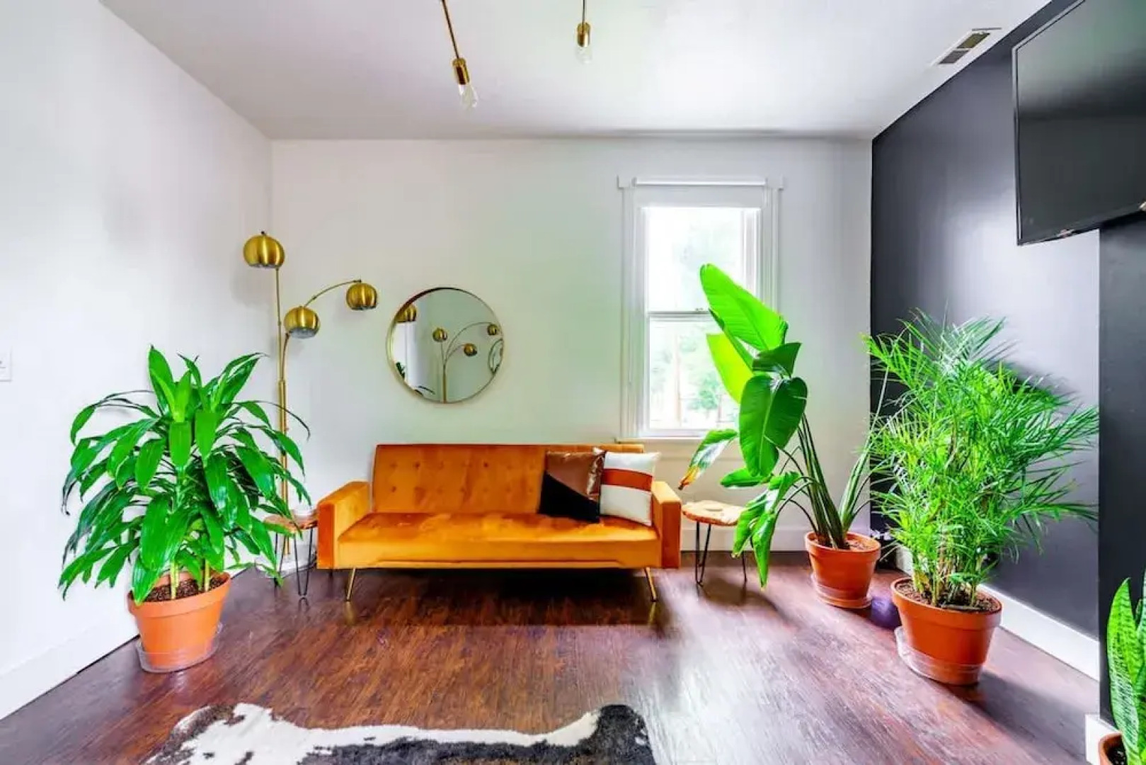 Prime Location Top Rated Clean Parking Free