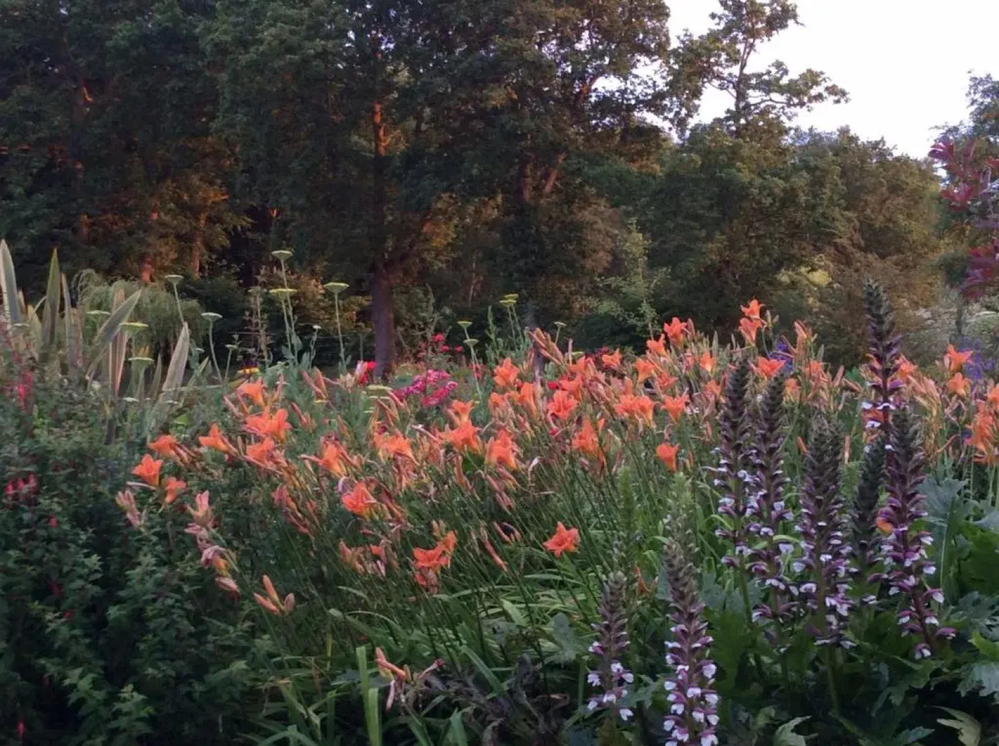 Chambre dHotes La Queue au Loup