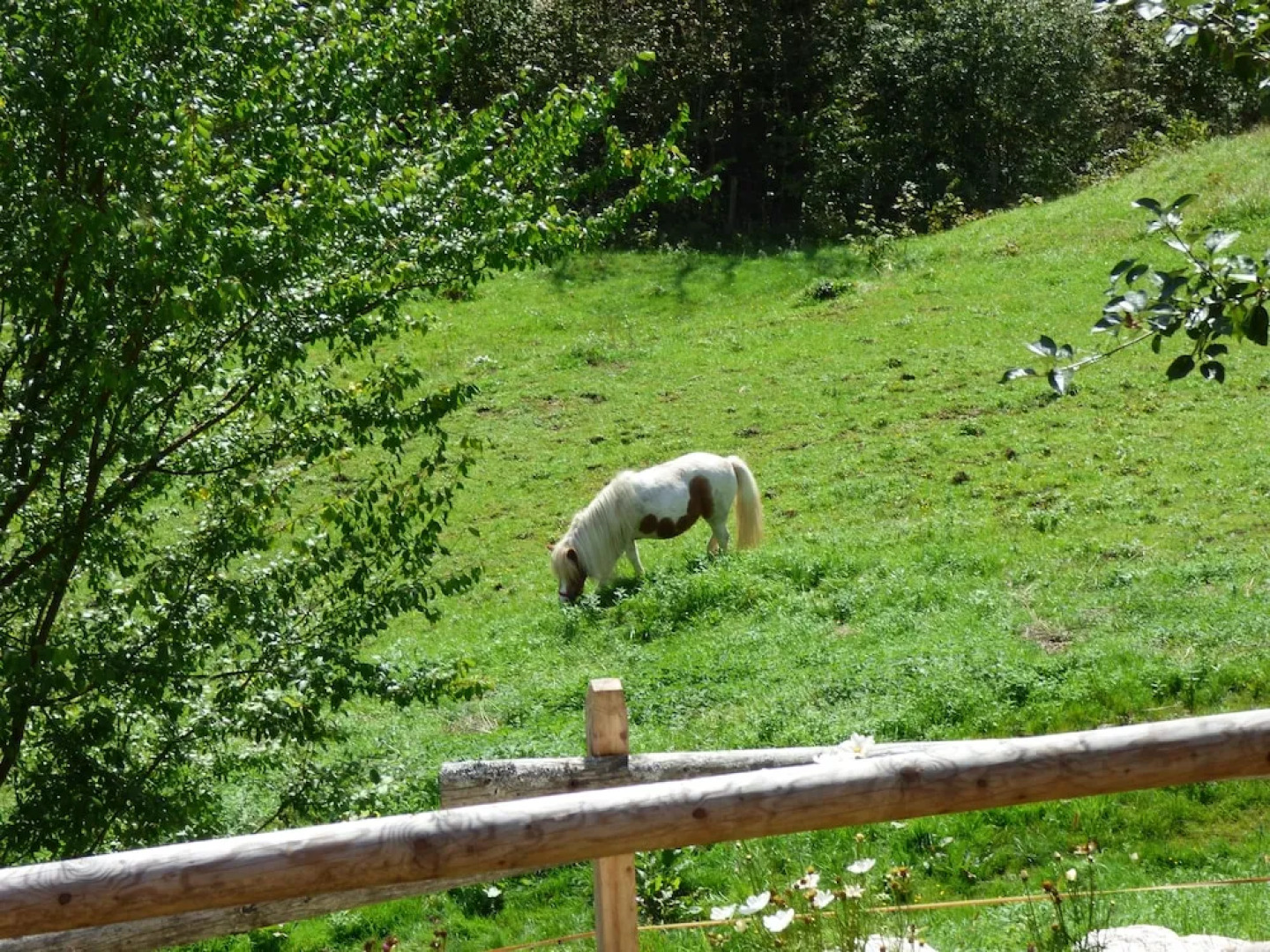 Hotel-Gasthof Mauthäusl