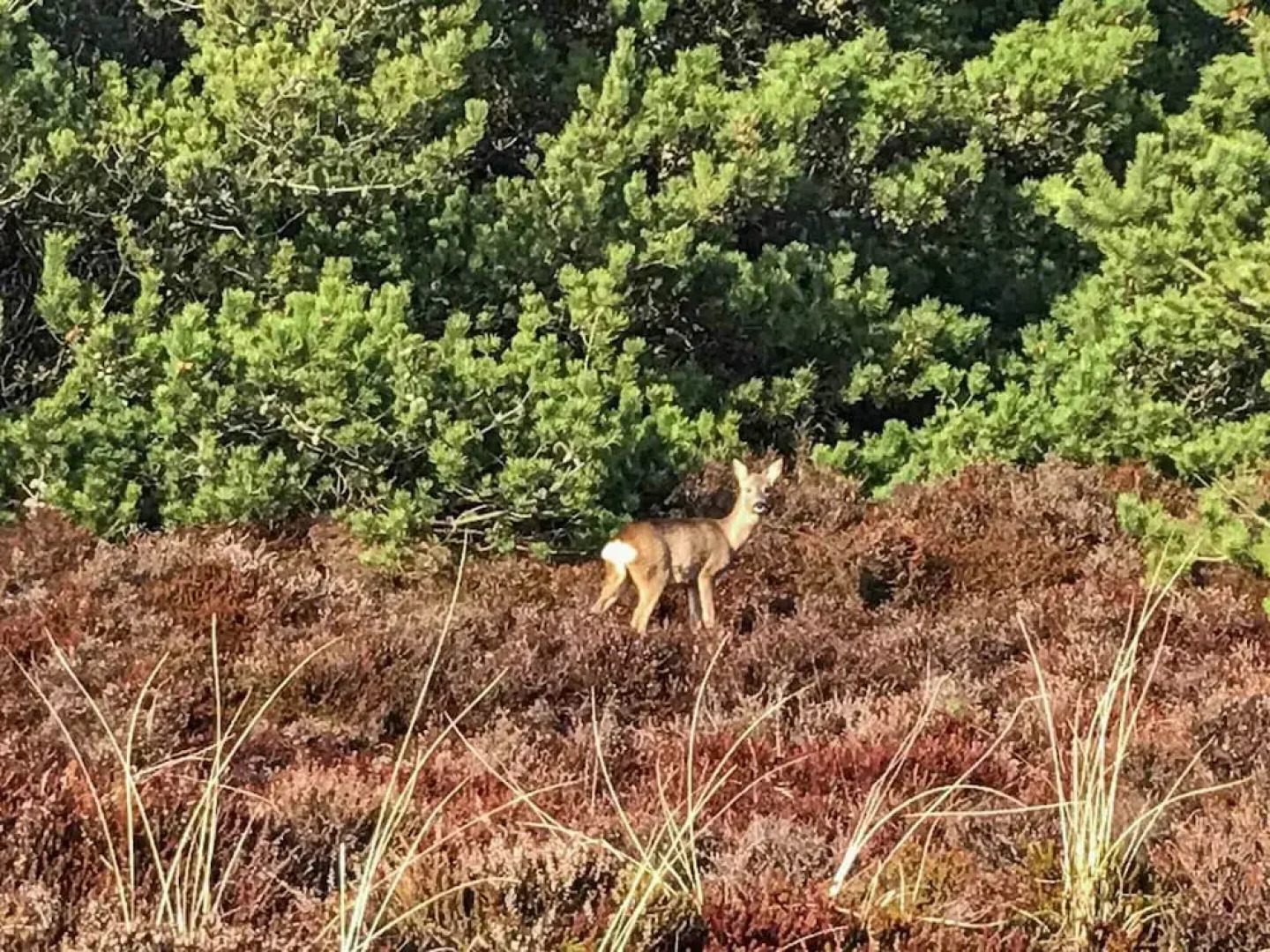 Scenic Holiday Home in Rømø with Hot Tub & Sauna
