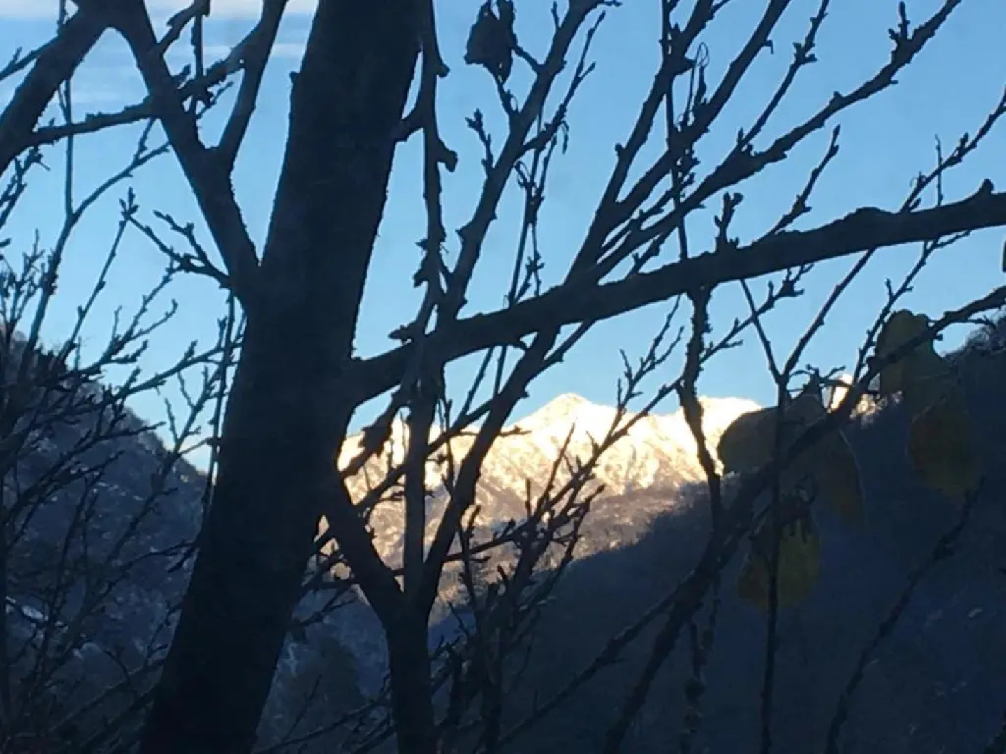 Apart Pasanauri - Apartament Pasanauri rjadom s Garden otel'