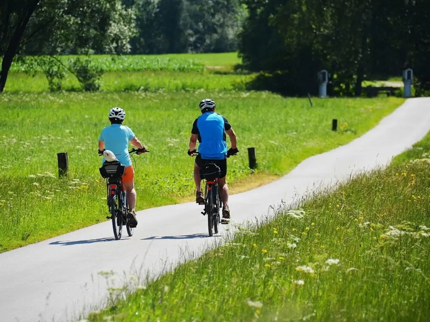 Alluring Apartment in Kolsassberg With Private Garden