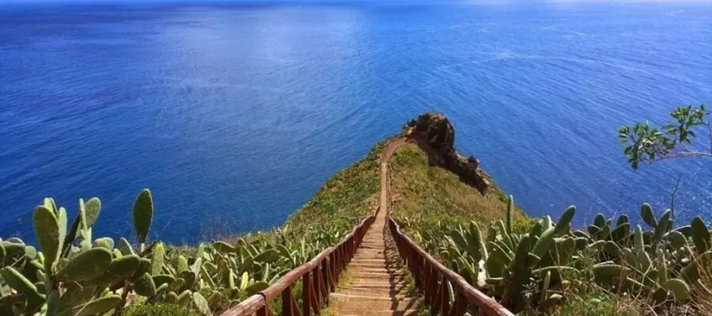 Quinta da Moscadinha