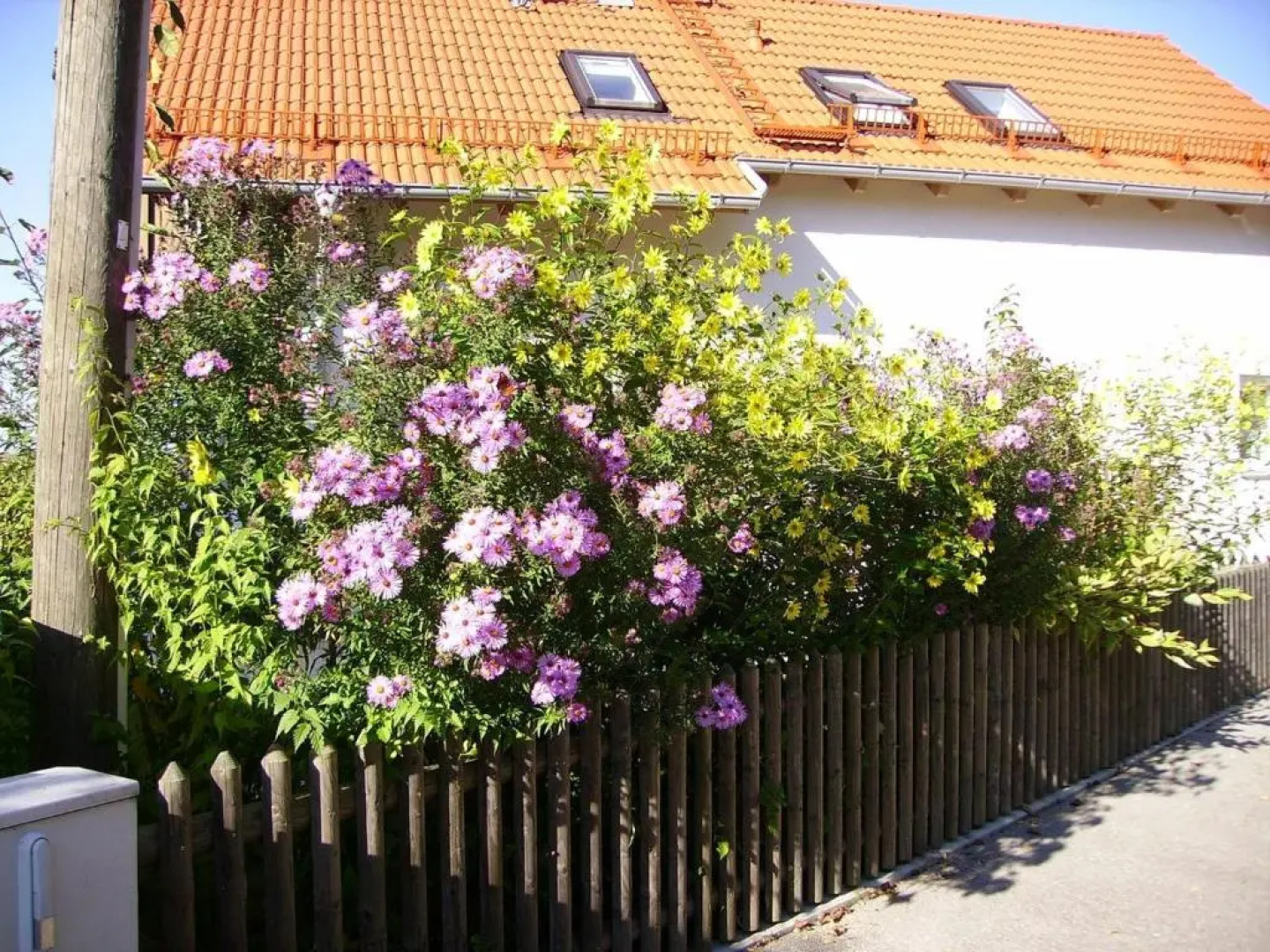 Wiflinger Graben Einfamilienhaus