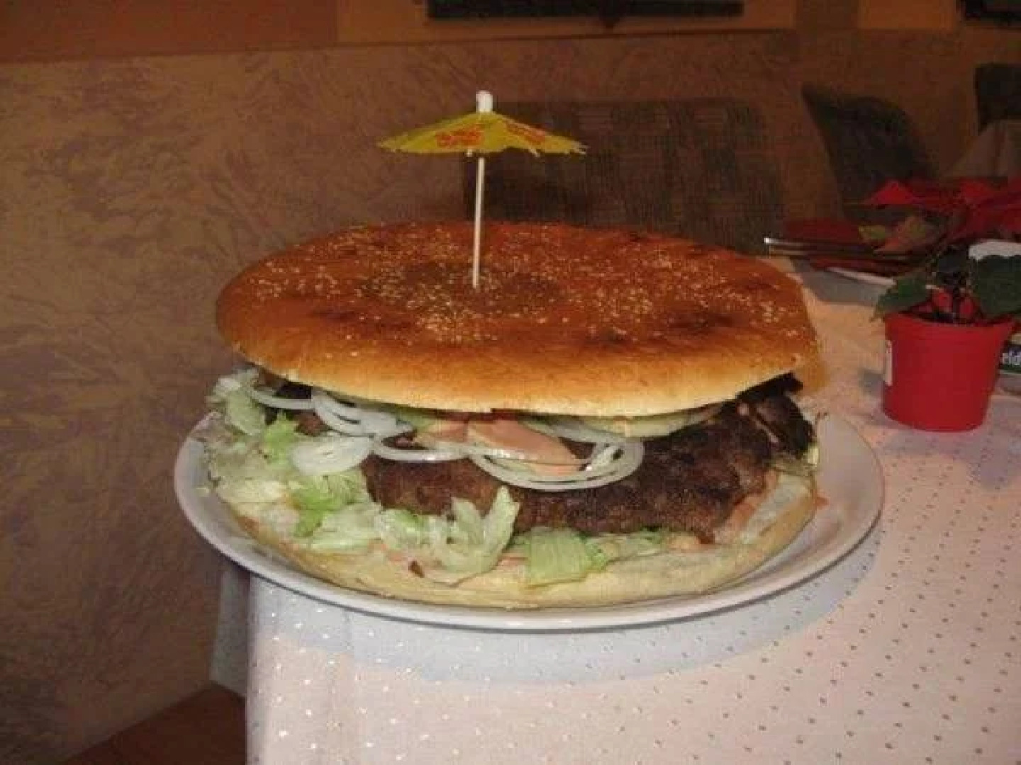 Hostel im Osterzgebirge