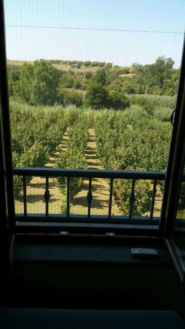 Casale dei Lamponi a "le Moline" vita in fattoria