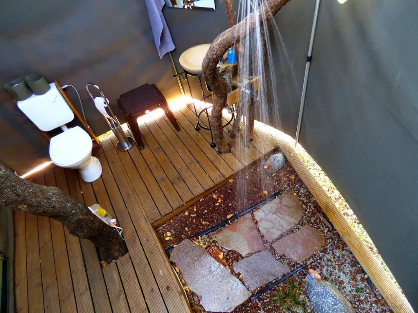 Thorn Tree Bush Camp