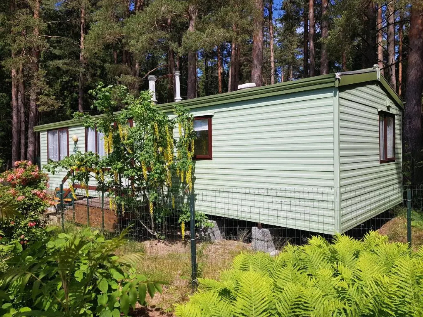 Beautiful holiday home near the pine forest