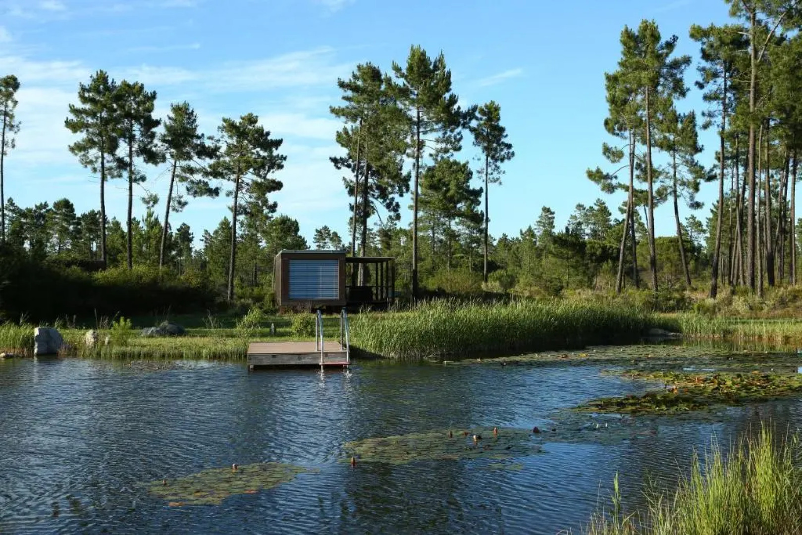 Cocoon Eco Design Lodges