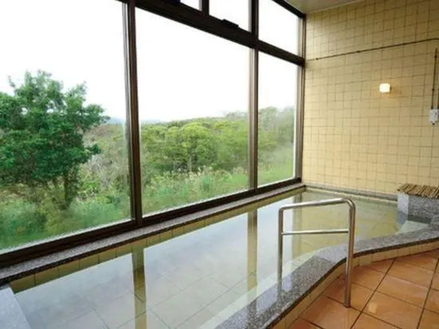 Yambaru Discovery Forest