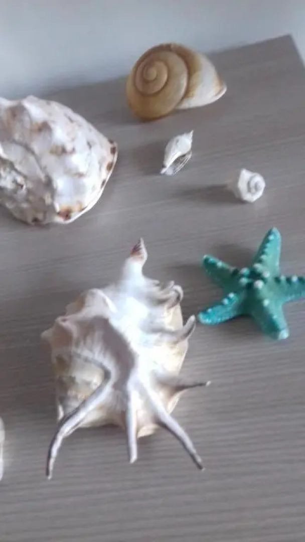 Casa vacanze Little Paradise