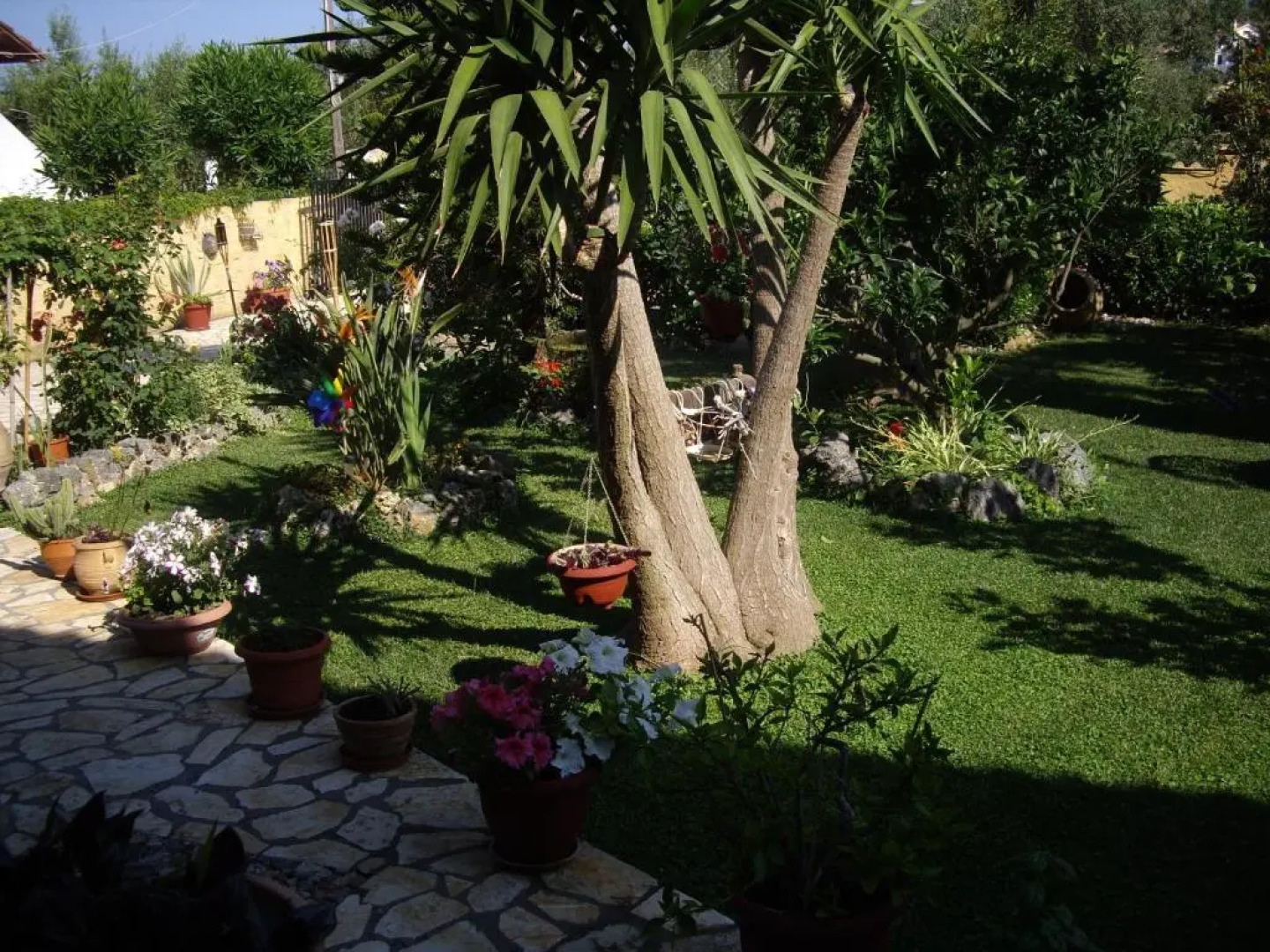 Alex Studios & Apartments