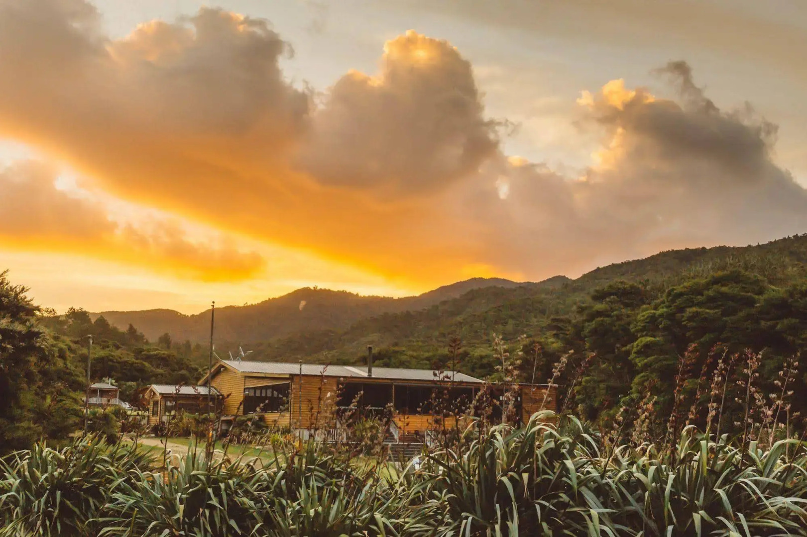 Tangiaro Kiwi Retreat