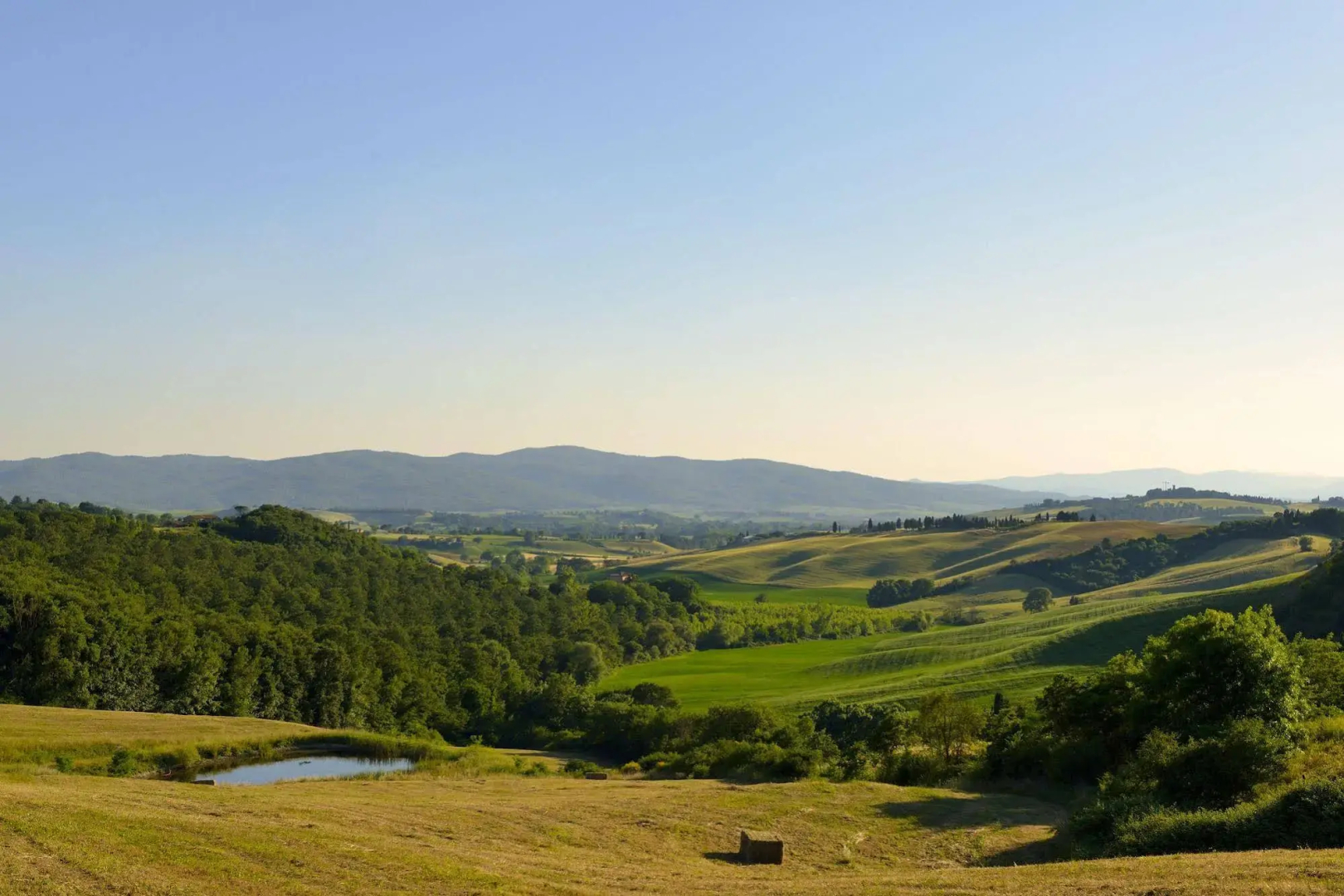 Podere Salicotto