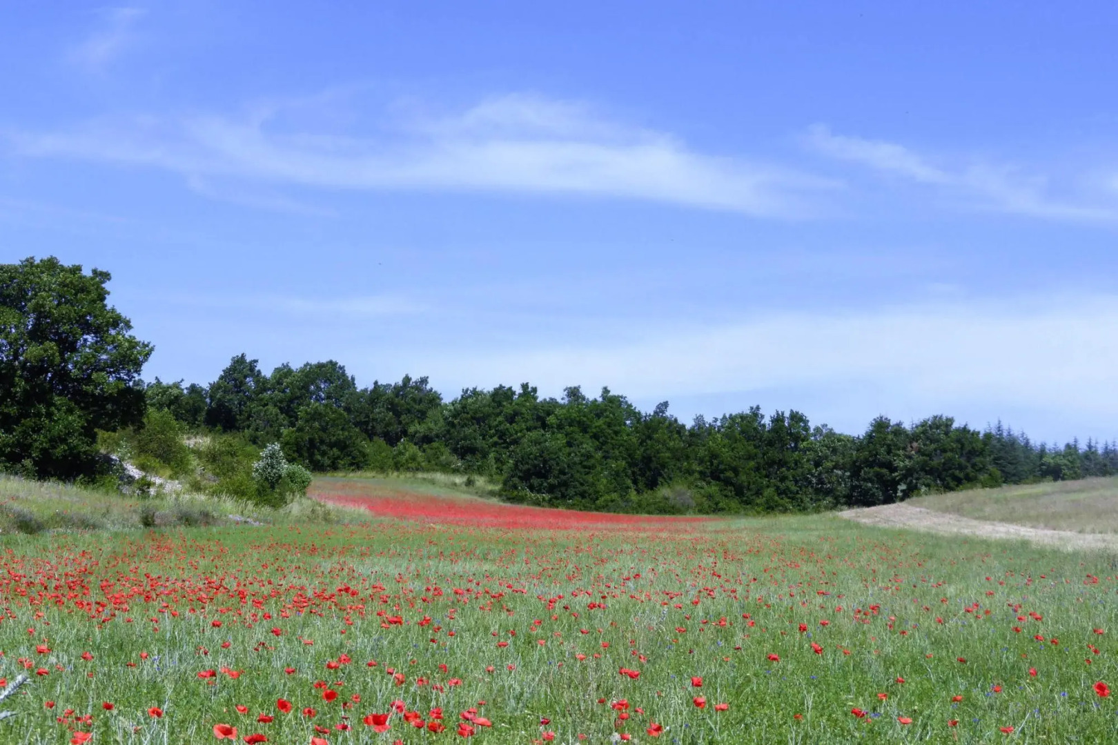 Charming holiday home with private garden, Revest-du-Bion