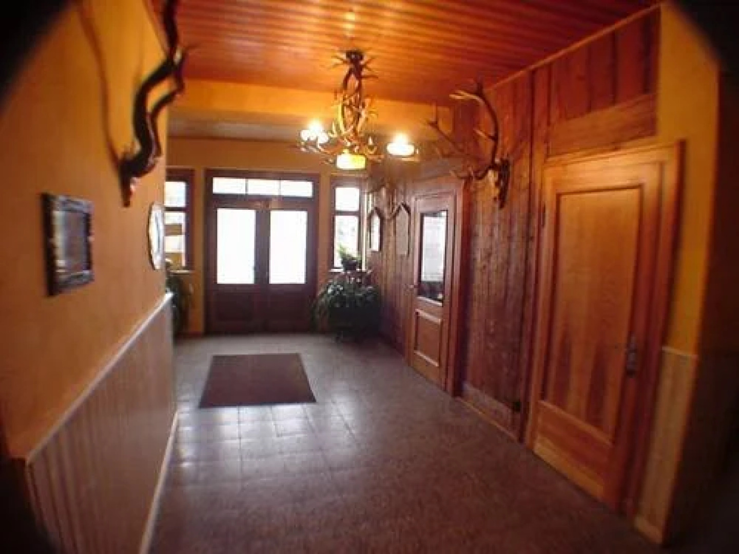 Zum Roten Hirsch im Grünen Wald