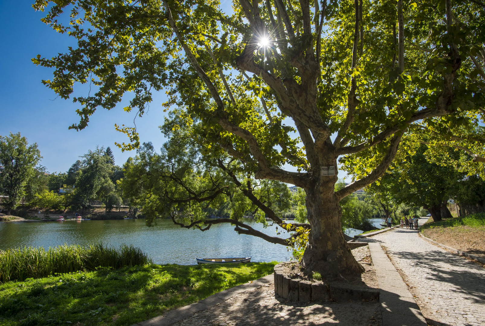 Des Arts- Guesthouse - Hostel