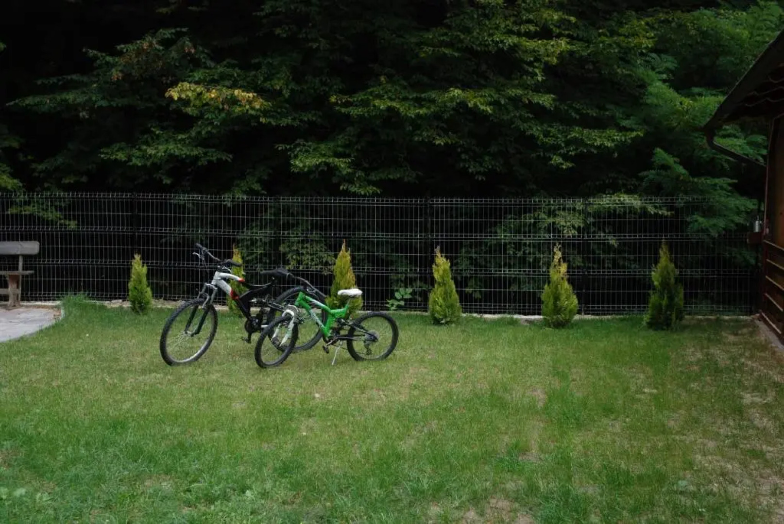 Pensiunea Casa David