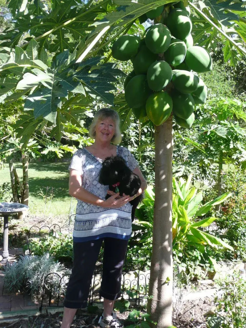 Yarrandabbi Dreaming Boutique B&B