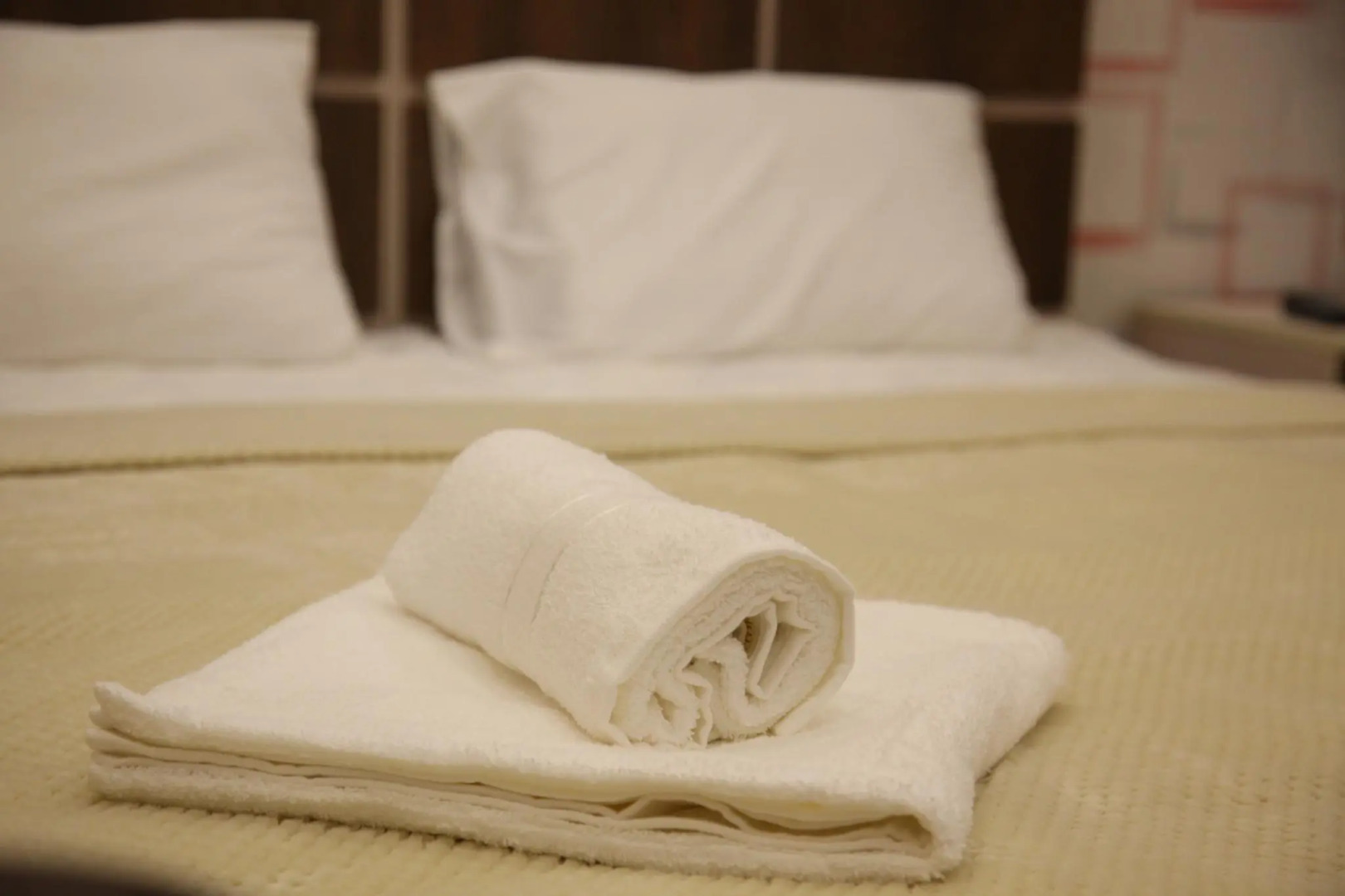 Felisa Gyumri (Фелиса)