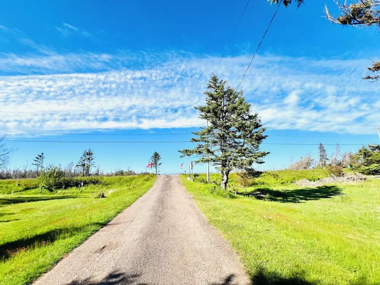Skyline Terrace Cottages