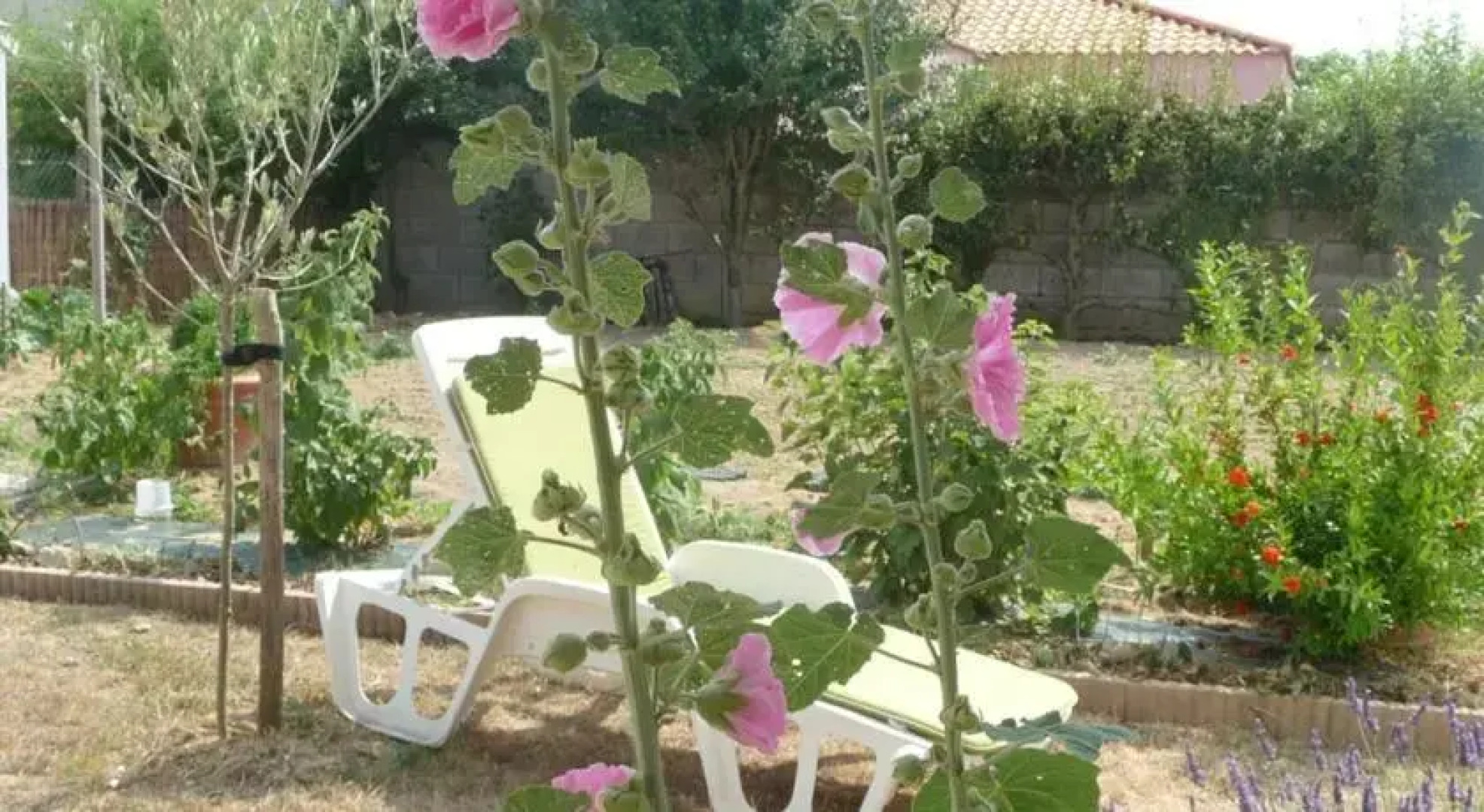Chambre dhôte Fleur de Potager