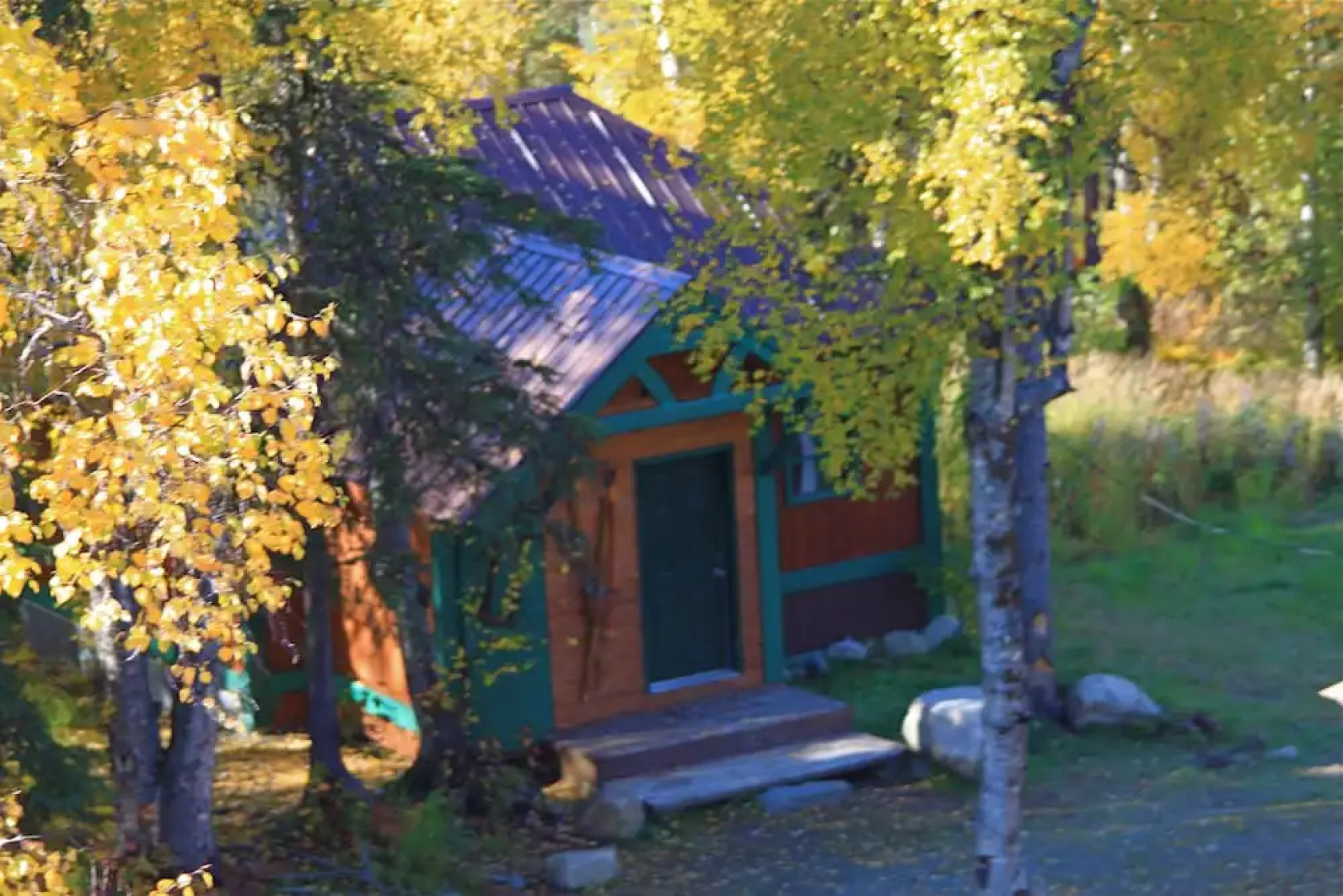 Out of the Wild Chalet