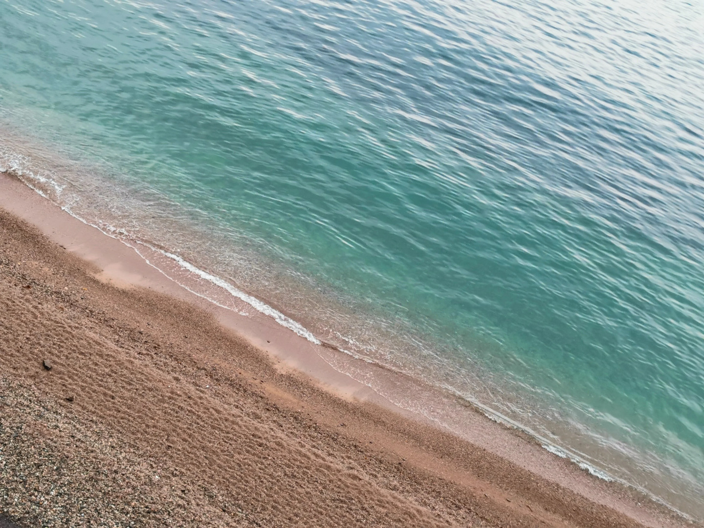 Лавровый сад