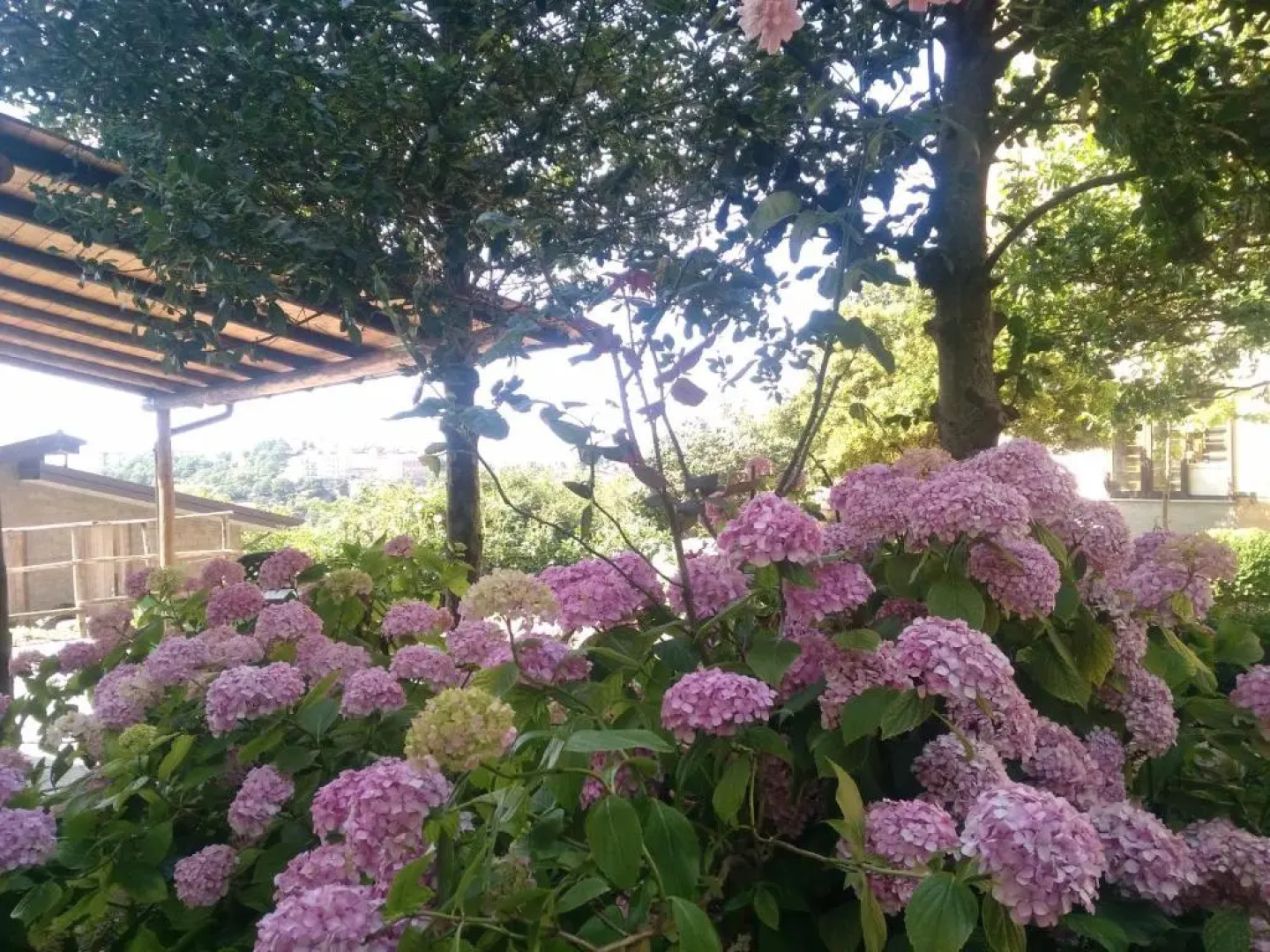 Aritzo appartamento romantico