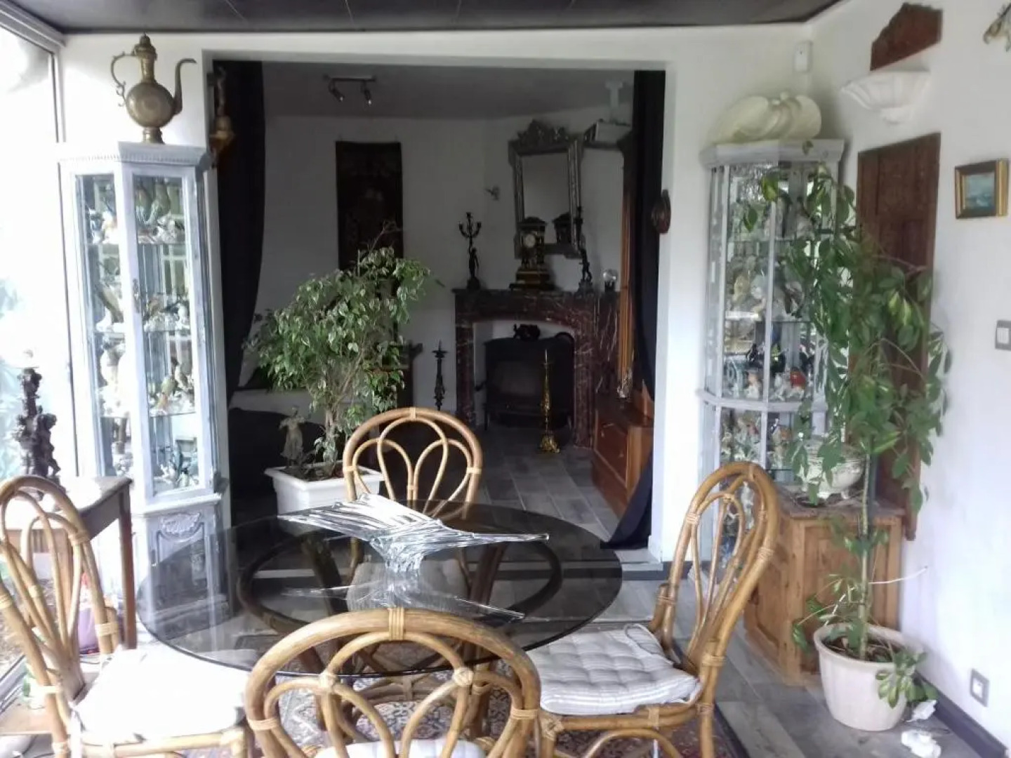 Angelina et ses animaux