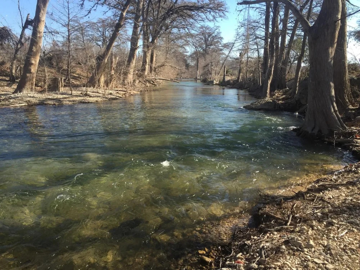 Twin Elm Guest Ranch