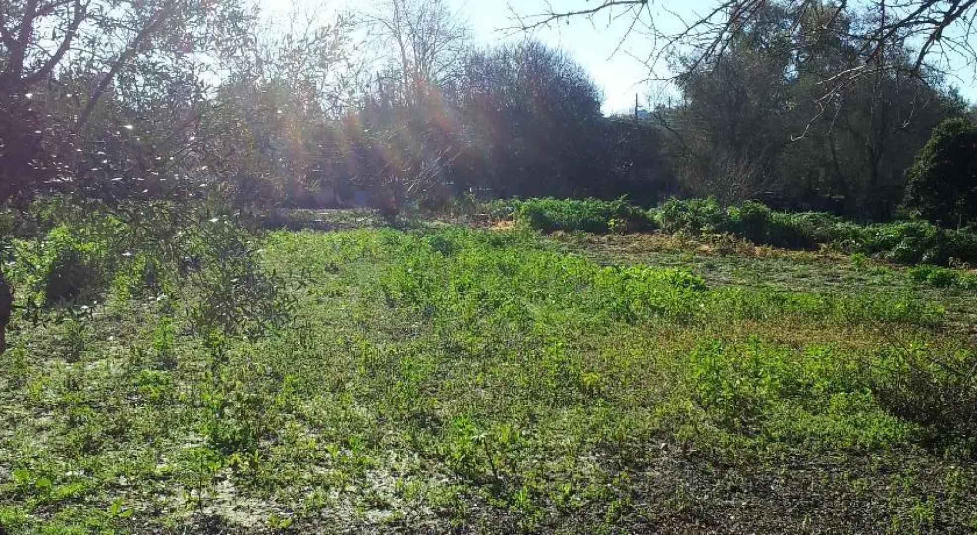 Warm Nest Seniors Only