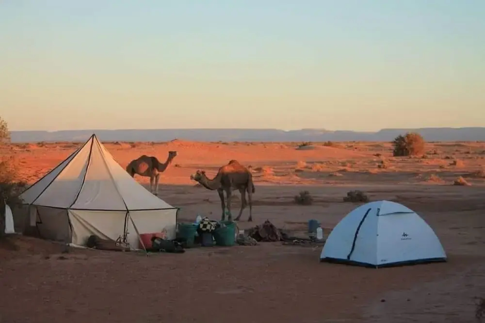 Authentique Riad M'hamid
