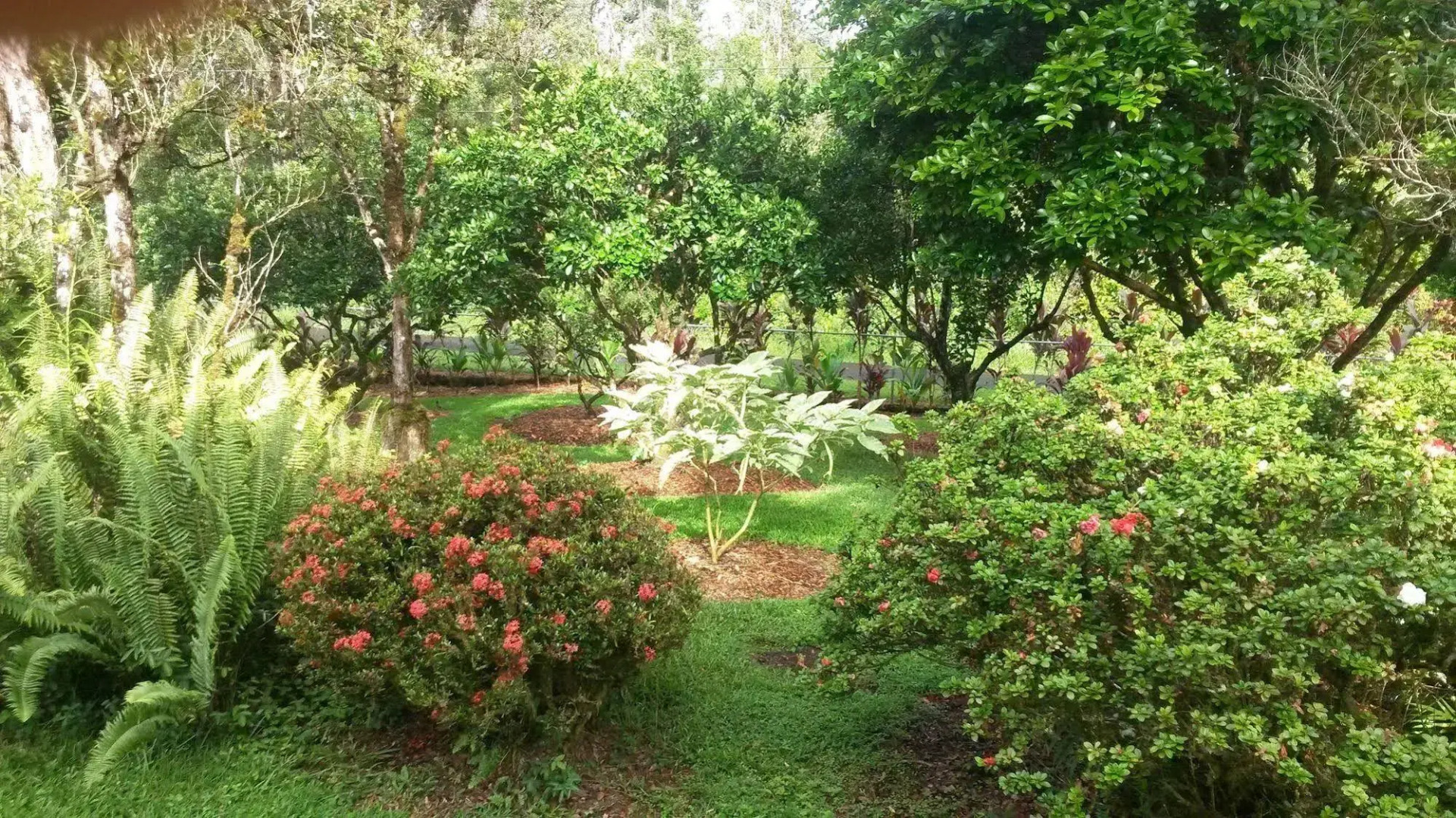 The Kimos' Ohanas B&B