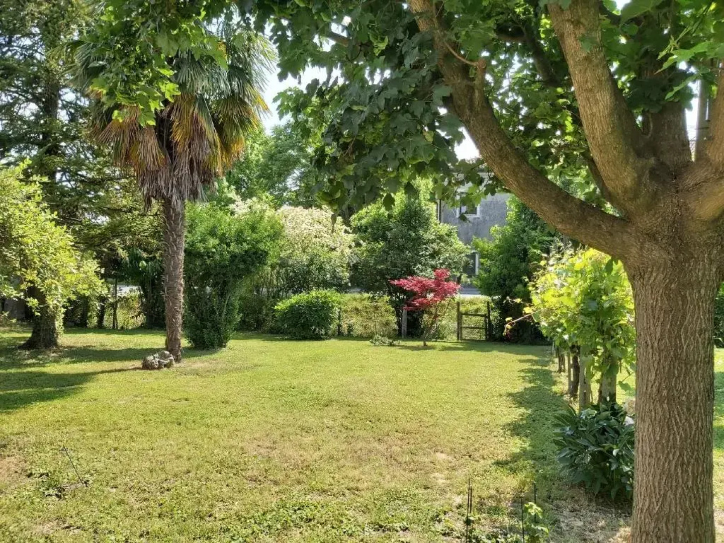 La Celeste a Montegaldella -Vi - Italia